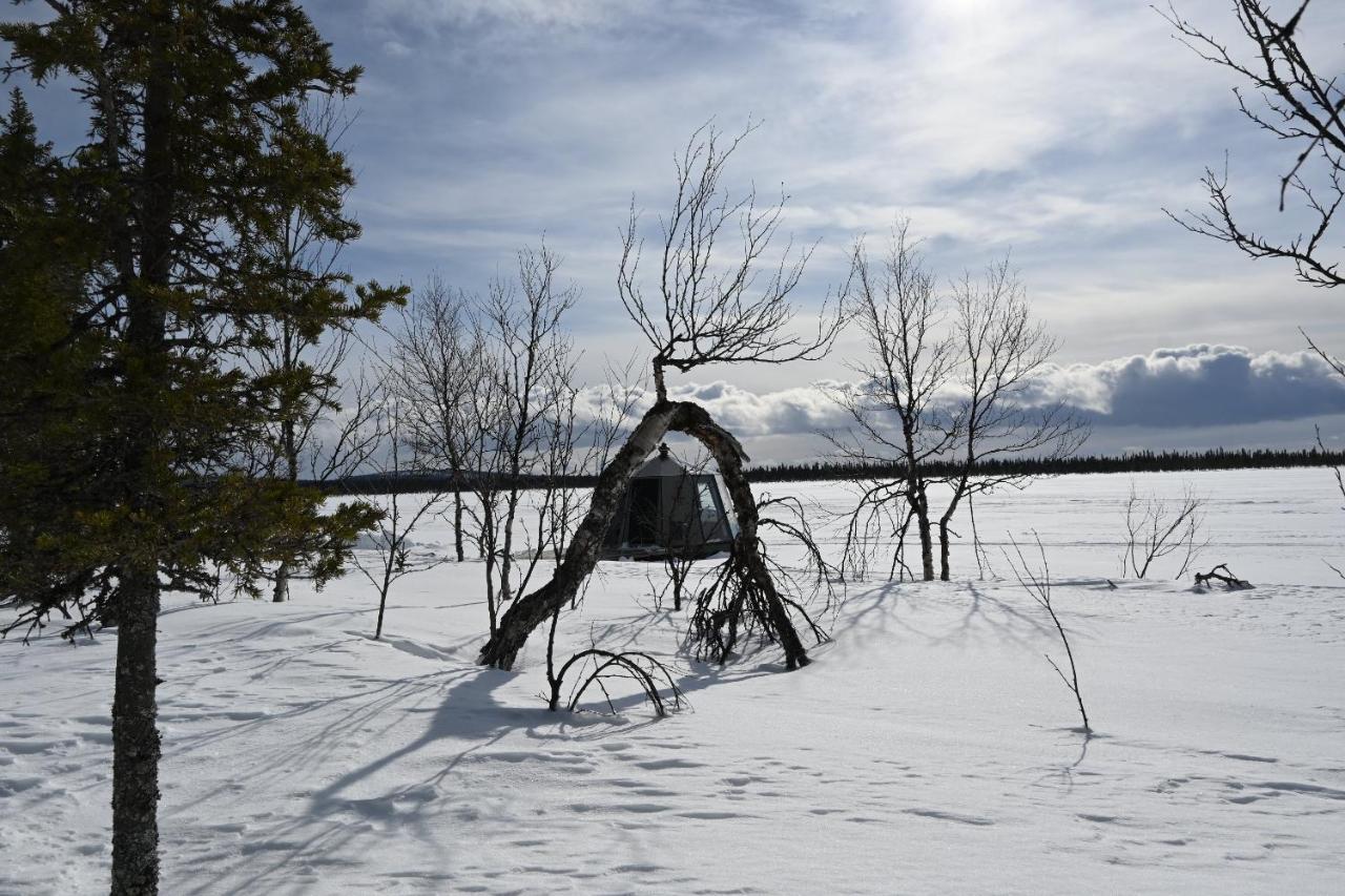 Luxe tent Laponia Sky Hut